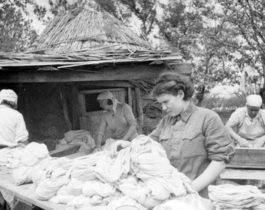 «Банно-прачечные отряды на фронтах Великой Отечественной»
